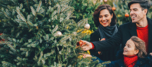 Comment bien choisir son sapin de Noël